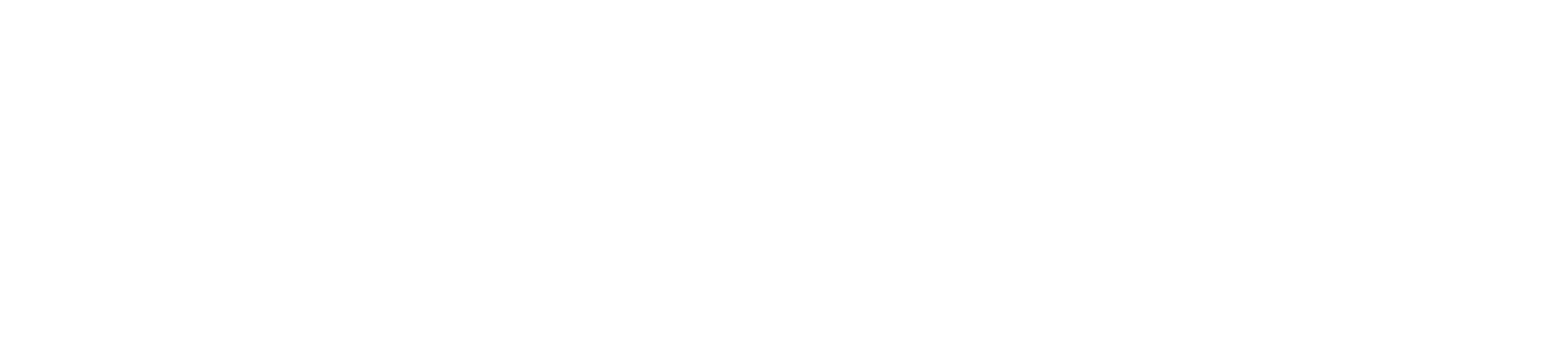 MISUNDERSTOOD
